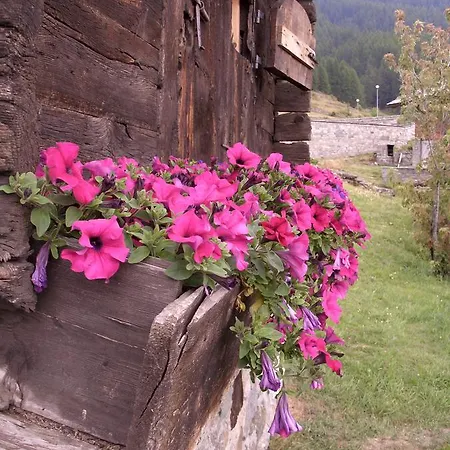 Apart-hotel Lo Scoiattolo La Magdeleine