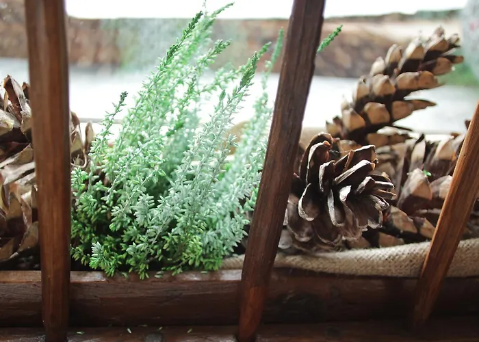 Lo Scoiattolo Aparthotel 2*