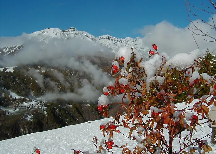 Aparthotel Lo Scoiattolo 2*