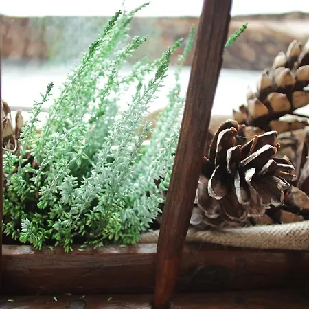 Lo Scoiattolo Aparthotel 2*