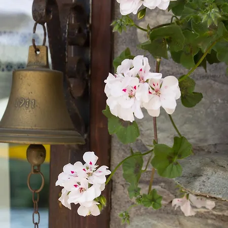 Aparthotel Lo Scoiattolo 2*