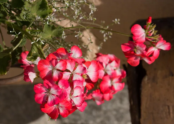 公寓式酒店 Lo Scoiattolo 拉马格德莱伊内