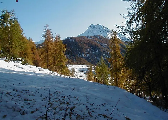 公寓式酒店 Lo Scoiattolo 2*