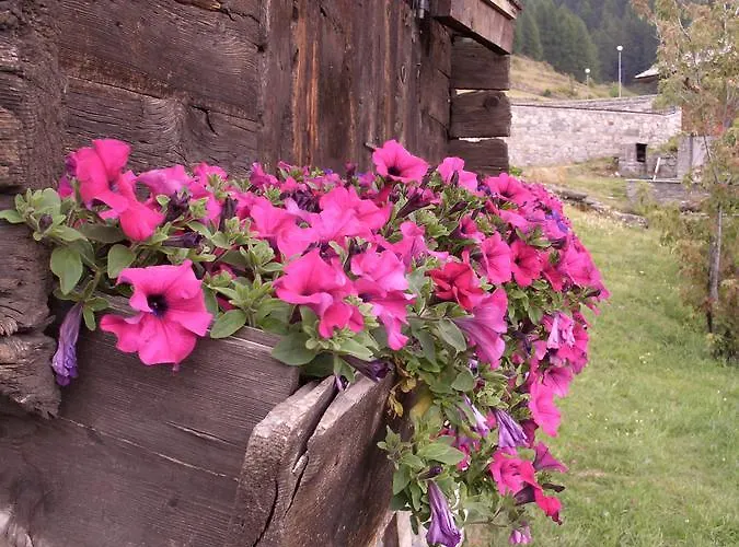 公寓式酒店 Lo Scoiattolo 拉马格德莱伊内